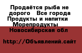 Продаётся рыба не дорого - Все города Продукты и напитки » Морепродукты   . Новосибирская обл.